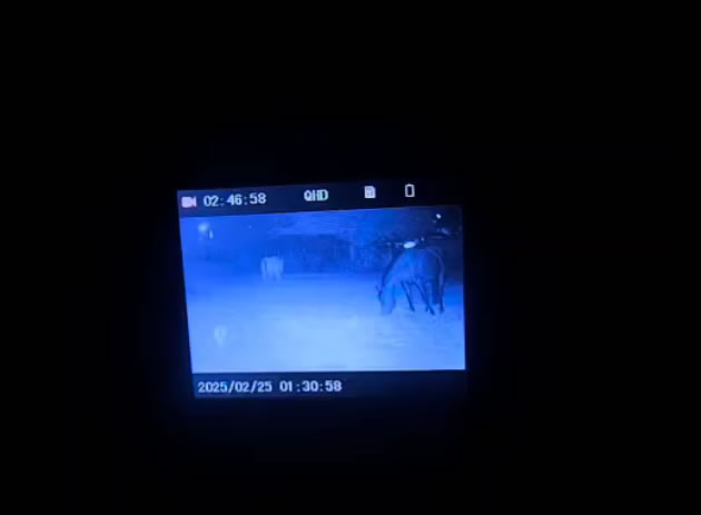 MCG Tactical Dark Force Night Vision Binoculars Review
